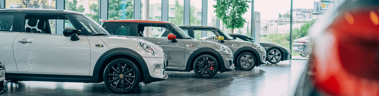 MINI NEXT